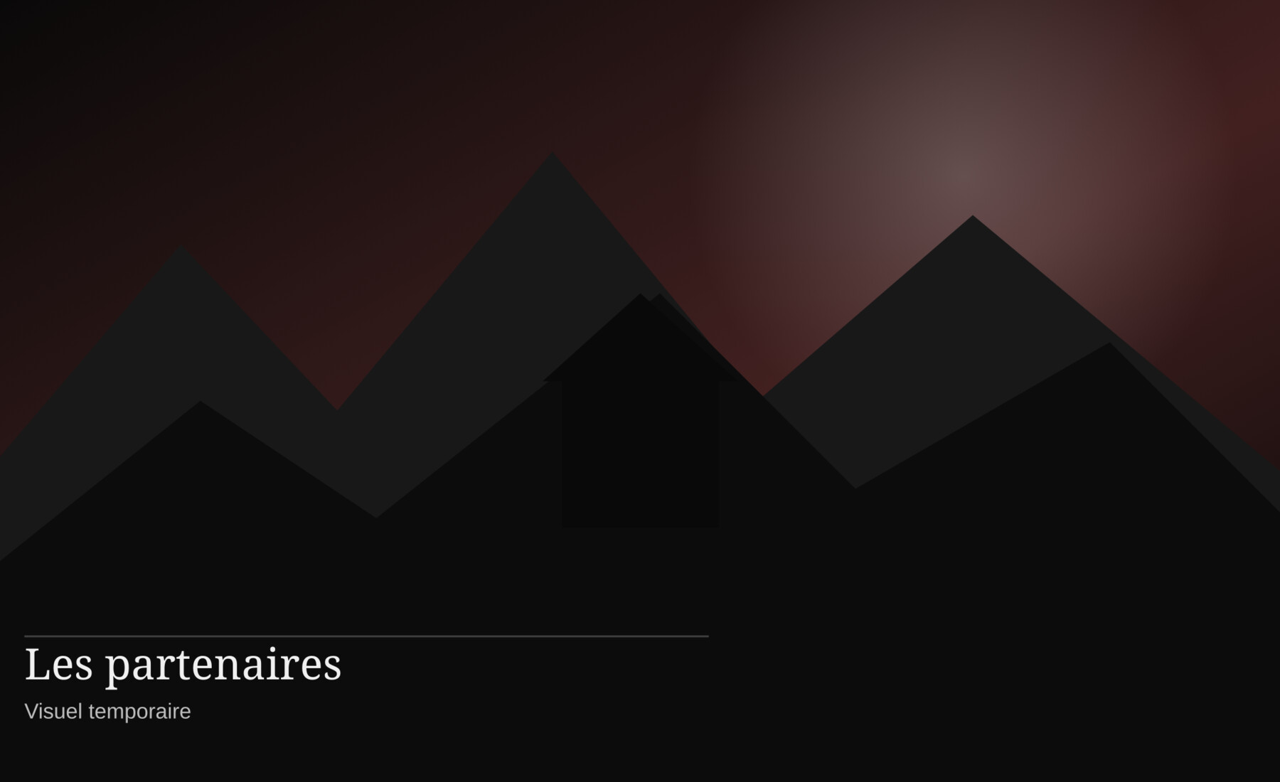 Illustration temporaire des partenaires